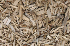 biomass boilers West Heogaland